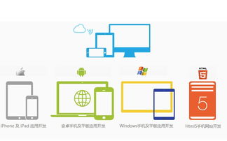 广东大大神软件开发系统定制网站搭建服务平台