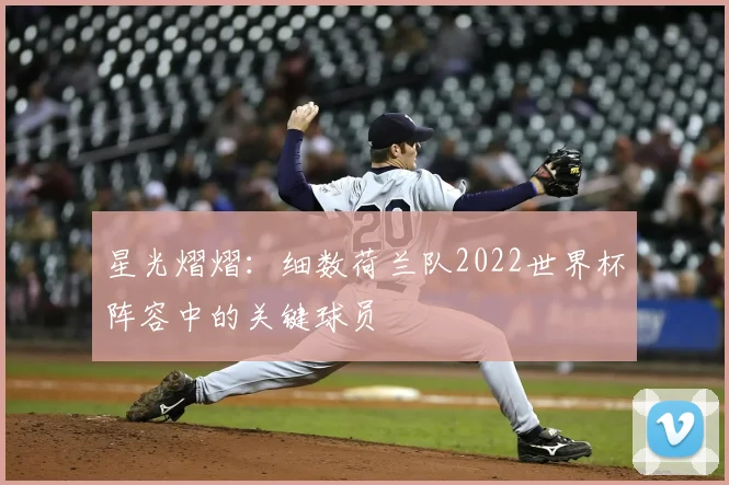星光熠熠:细数荷兰队2022世界杯阵容中的关键球员