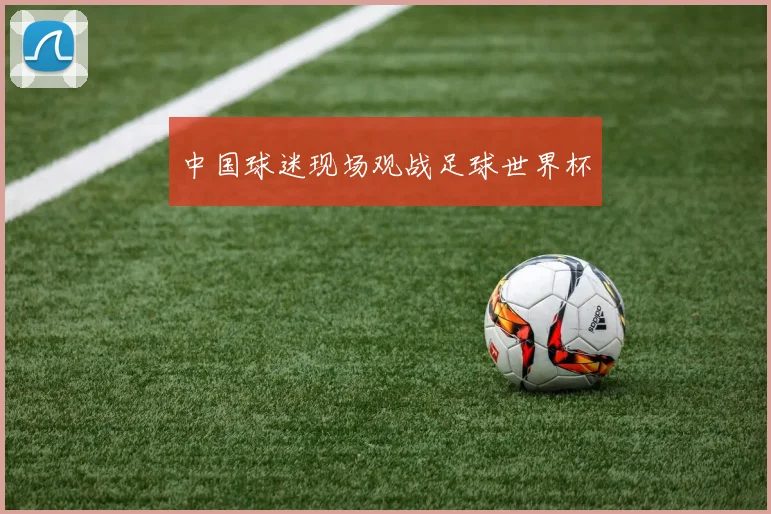 中国球迷现场观战足球世界杯