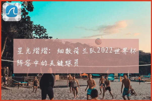 星光熠熠:细数荷兰队2022世界杯阵容中的关键球员