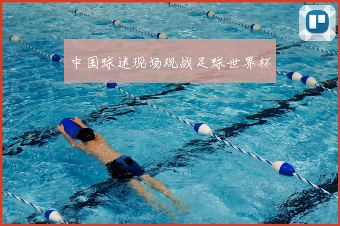中国球迷现场观战足球世界杯